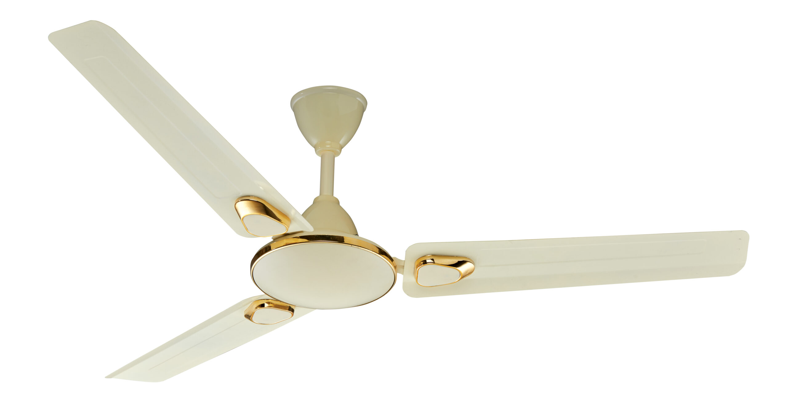 Fashion  Ceiling Fan